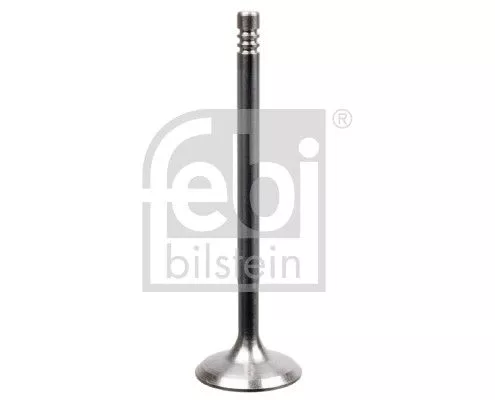 Montage, motor FEBI BILSTEIN 22687)