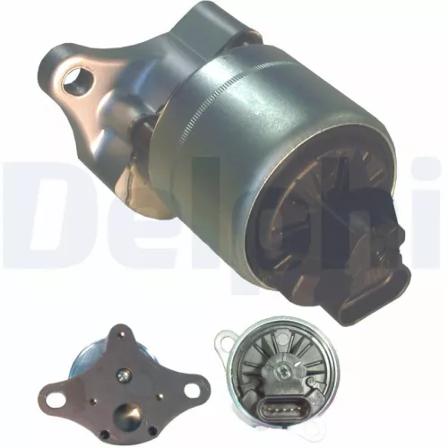 EGR-klep DELPHI EG10006-12B1)