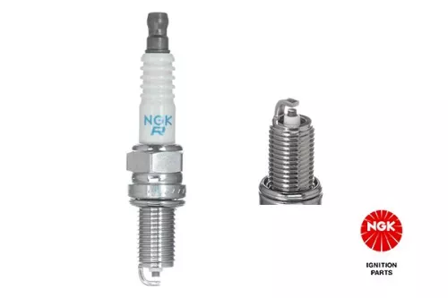 Spark Plug NGK 4983)