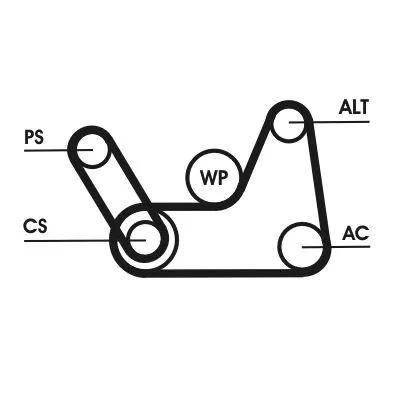 V-ribbed Belt Set CONTINENTAL CTAM 6PK1019 ELAST T1)