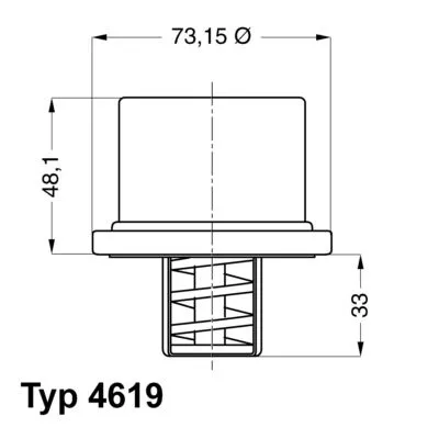 Thermostaat, koelvloeistof BorgWarner (Wahler) 4619.75)