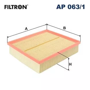 Air Filter FILTRON AP 063/1)