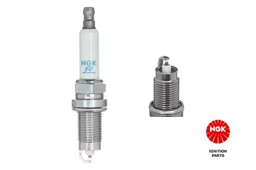 Spark Plug NGK 5960)