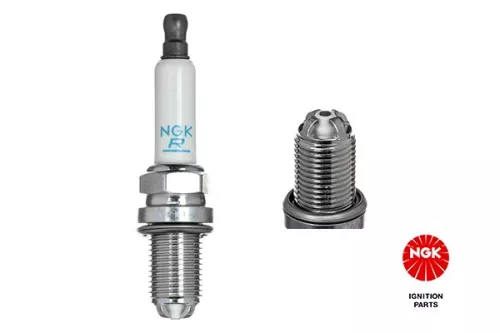 Spark Plug NGK 6002)