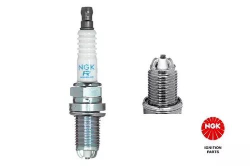 Spark Plug NGK 3384)