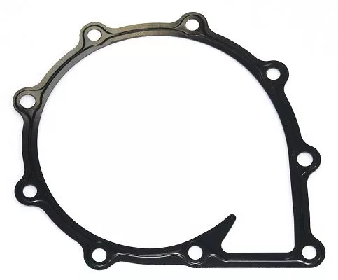 Pakking, waterpomp ELRING 021.250)