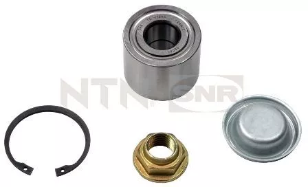 Wheel Bearing Kit SNR R159.48)