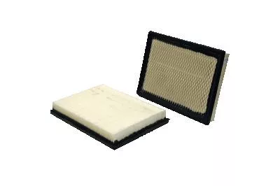 Luchtfilter WIX FILTERS 42843)