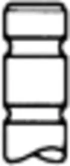 Inlaatklep TRW Engine Component 48319)