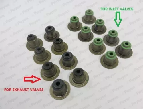 Seal Set, valve stem PAYEN HR5063)