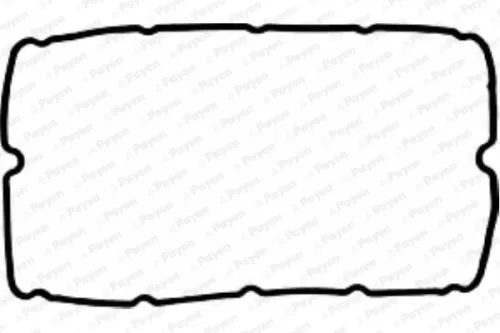 Gasket, cylinder head cover PAYEN JM5037)