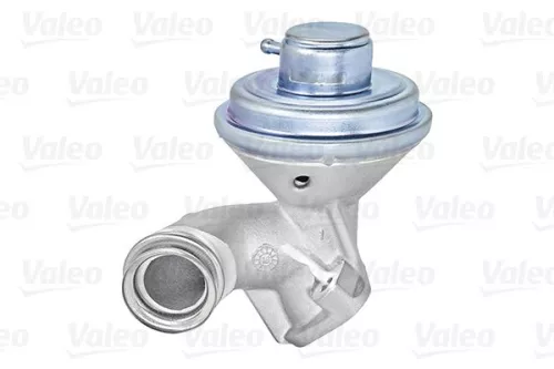 EGR-klep VALEO 700407)