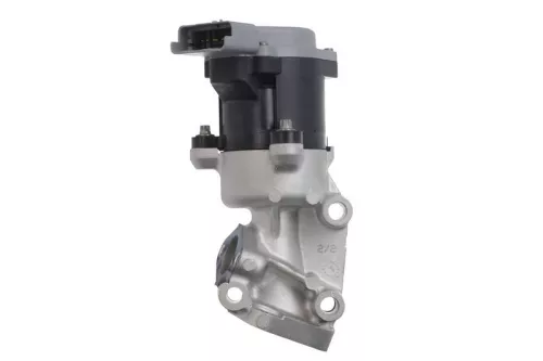 EGR-klep VALEO 700410)