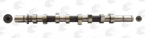 Nokkenas AE CAM736)