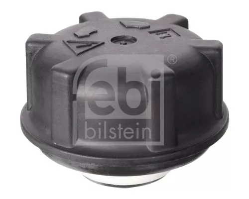 Cap, coolant tank  32386)
