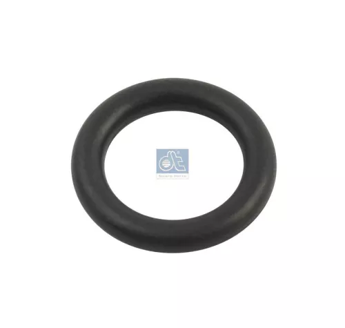 Seal Ring DT Spare Parts 1.24301)