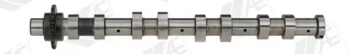 Nokkenas AE CAM747)
