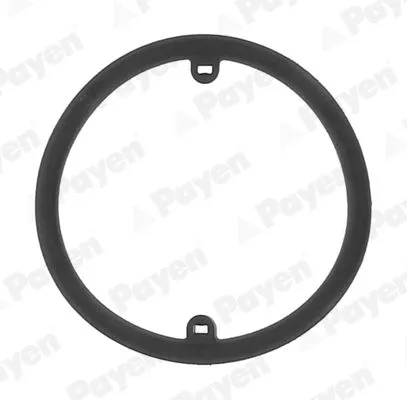 Seal Ring, oil cooler (lubrication) PAYEN KK5686)