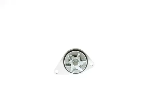 Water Pump, engine cooling AISIN WPPG-003V)