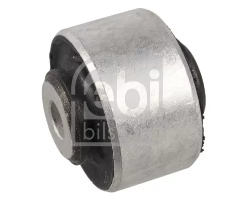 Mounting, control/trailing arm  31468)