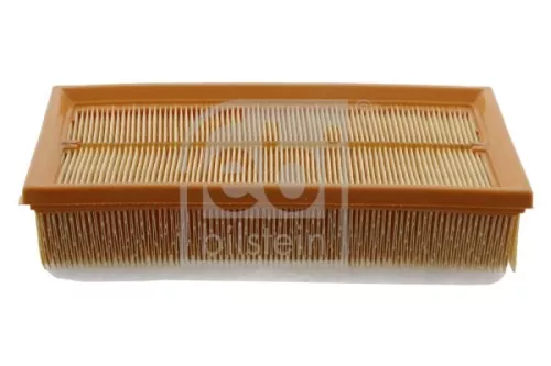 Air Filter  31262)