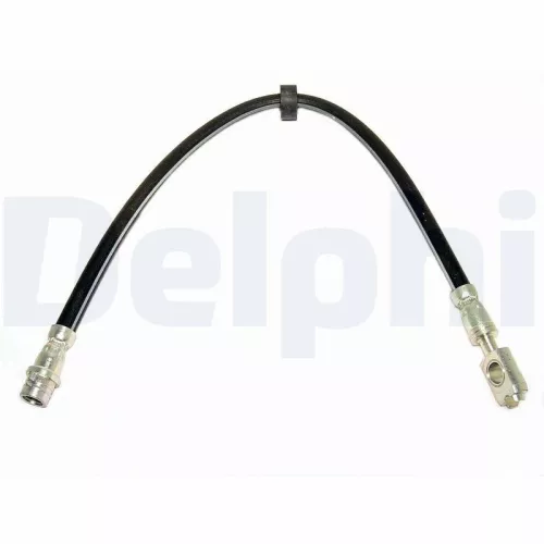 Remslang DELPHI LH0374)