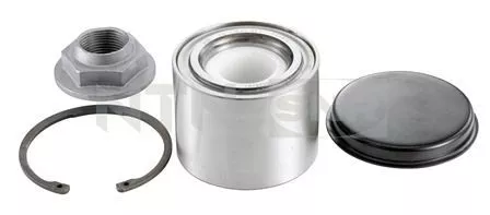 Wheel Bearing Kit SNR R141.28)