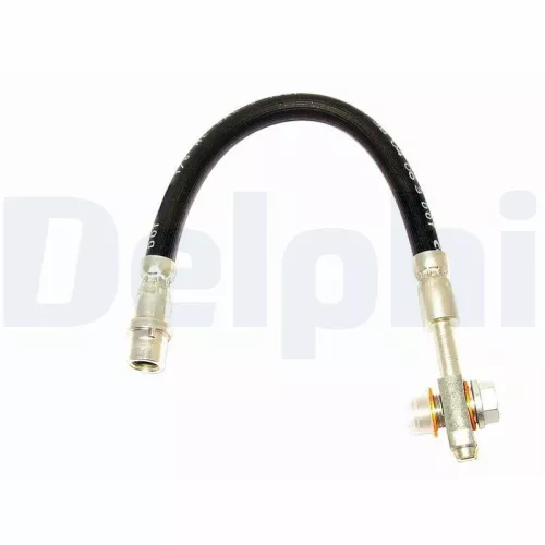 Remslang DELPHI LH6108)
