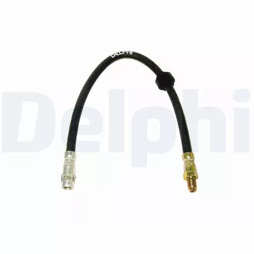 Remslang DELPHI LH6248)