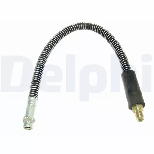 Remslang DELPHI LH0489)
