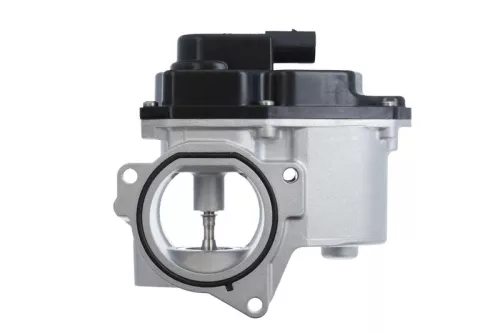 EGR-klep VALEO 700424)