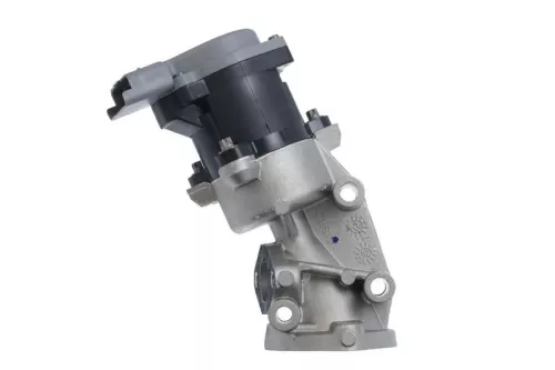 EGR-klep VALEO 700422)