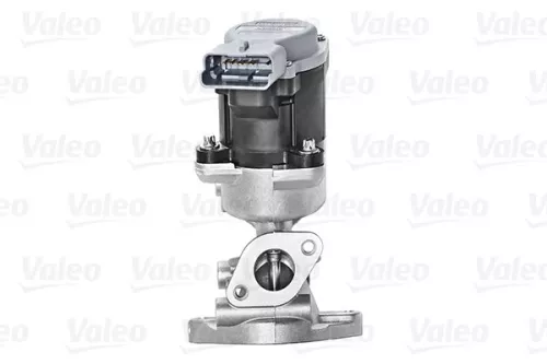 EGR-klep VALEO 700423)