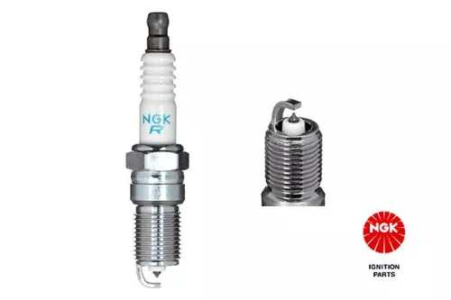 Spark Plug NGK 4968)