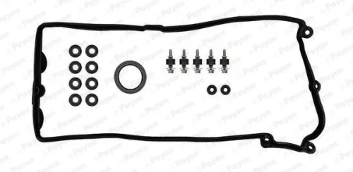Pakkingset, cilinderkopdeksel PAYEN HM5296)