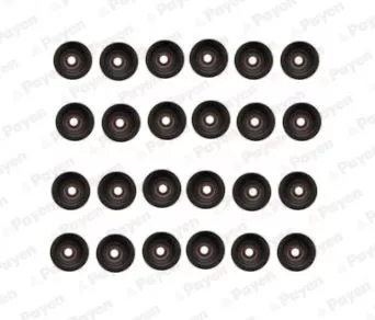 Afdichtingsset, ventielsteel PAYEN HR5107)