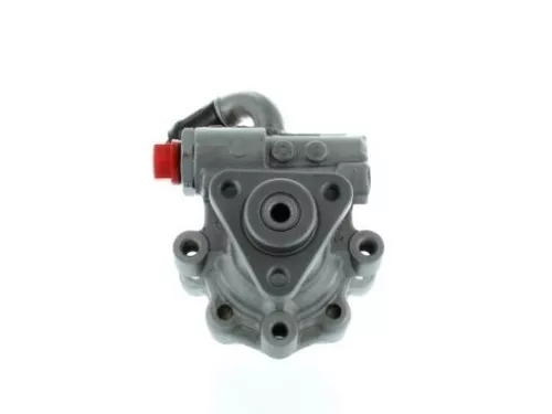 Hydraulische pomp, stuurinrichting SPIDAN 54369)
