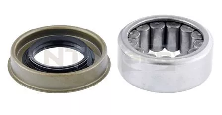 Wheel Bearing Kit SNR R141.34)