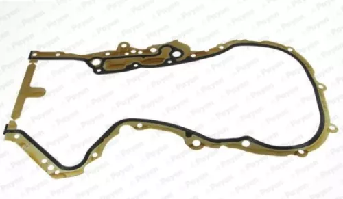 Gasket, timing case PAYEN JR5048)