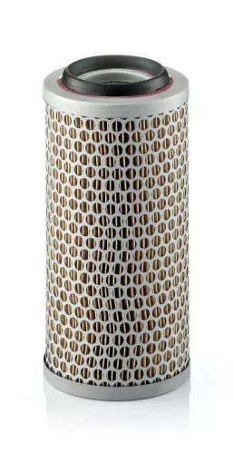 Air Filter MANN-FILTER C 1176/3)