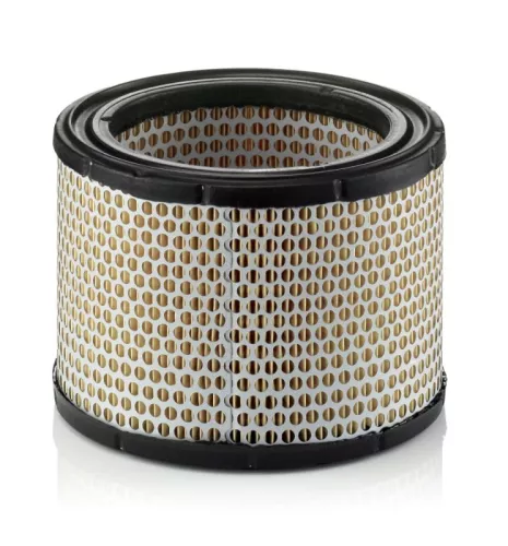 Luchtfilter MANN-FILTER C 1989/1)
