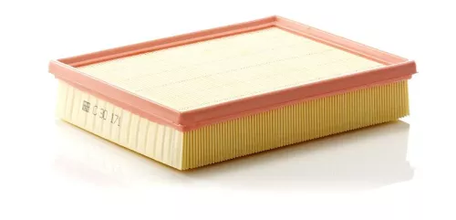 Luchtfilter MANN-FILTER C 30 171)