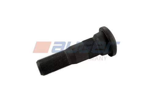 Wielbout AUGER 65151)