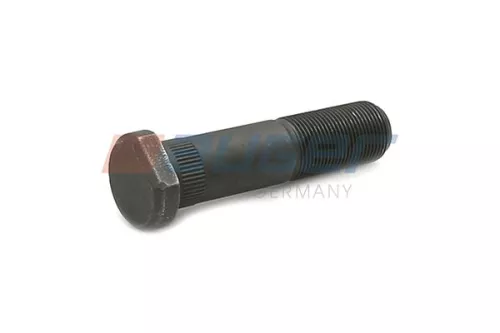 Wielbout AUGER 75546)