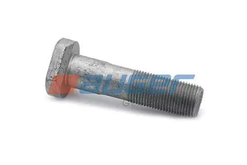 Wielbout AUGER 78110)