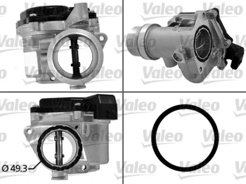 Gasklephuis VALEO 700450)