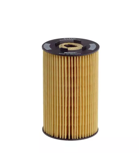 Oil Filter HENGST FILTER E134H D06)