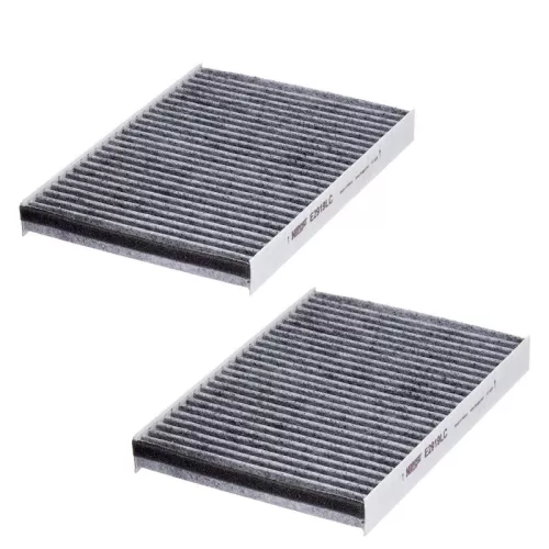 Filter, cabinelucht HENGST FILTER E2919LC-2)