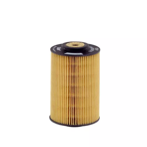 Fuel Filter HENGST FILTER E5KP D12)