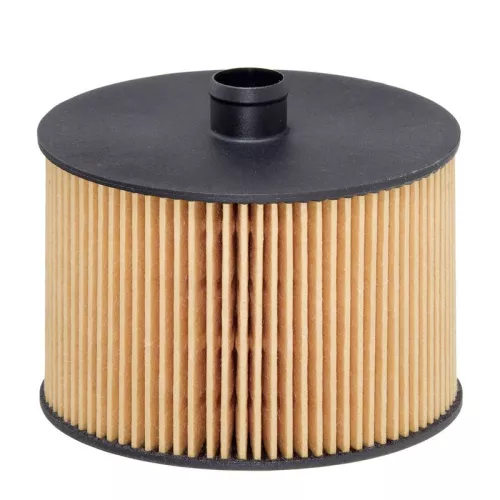 Fuel Filter HENGST FILTER E79KP D118)